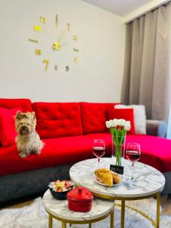 Downtown Apartments Presley air-conditioned - Rzeszów - 7