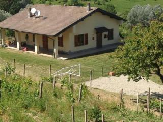 Casa Roberto Pool with Bar 5 bedrooms 2 bathrooms Great For Groups - Castel Rocchero - 3