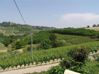 Casa Roberto Pool with Bar 5 bedrooms 2 bathrooms Great For Groups - Castel Rocchero - 1