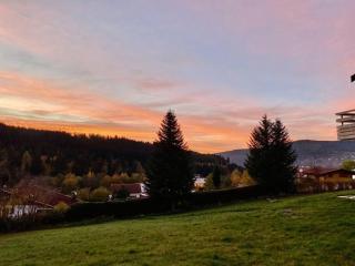 Gérardmer Appt 4/6 rez de jardin - Gérardmer - 9