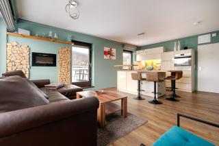 Penthouse Falkennest - 9