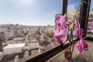 Brigida's Flat - Faro - 8