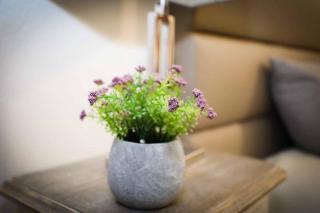 Casa Fundo de Vila - 9