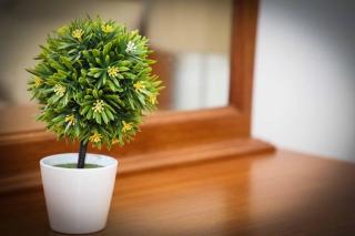 Casa Fundo de Vila - 3