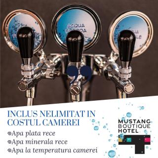 Mustang Boutique Rooms - Oradea - 5
