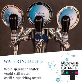 Mustang Boutique Rooms - Oradea - 4