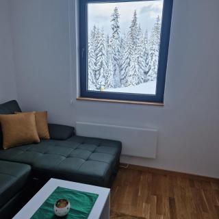 Cozy Ski Apartment Jahorina - Jahorina - 6