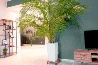 HAMA Design Homes - Lippstadt - 7
