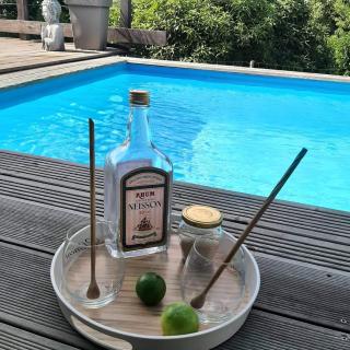 CHARMANT HAUT DE VILLA AVEC PISCINE PARTAGEE - 0