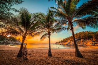 Jikinerita Homestay - Nelly Bay - 6