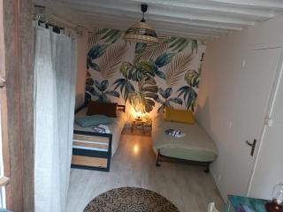 Le logis de la rue des Arts - Blois - 1