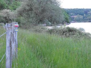 Gîte paisible avec jardin privatif, proche Loire et balades, pour 11 personnes, animaux acceptés - FR-1-496-86 - Saint-Paul-de-Vézelin - 3