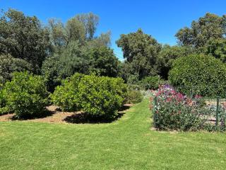 Wonga - A secluded oasis in the heart of Parkes - 2