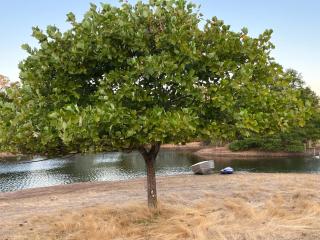 Caringal in the Valley Farm stay - Boyanup - 1