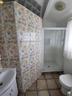 Fynbosrus on Grotto - 1