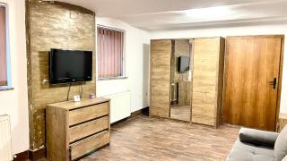 Ultracentral Apartment - Arad - 2