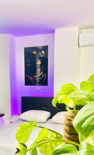Loft Terracina - Terracina - 1