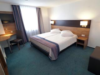 Hotel Goldener Hirsch Mosbach - 9