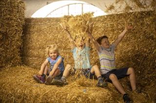 Gut Frielinghausen - 2