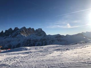Perla Dolomiti Falt - Falcade - 5