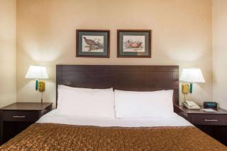 Hawthorn Extended Stay by Wyndham El Paso - 2