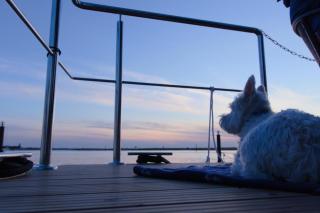 Hausboot Fjord Aquila mit Dachterrasse in Wendtorf - Wendtorf - 1