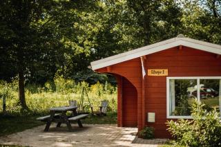 Scandinavisch huisje met vuurplaats - 0