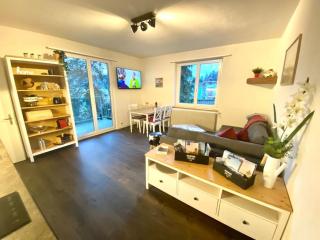 Beautiful flat with nice lake and mountain views - 6
