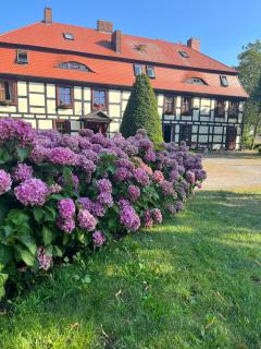 Gościniec Zamkowy - Darłowo - 7