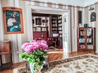 Divná pani Luxury Gallery Rooms - Banská Štiavnica - 2