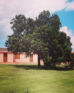 Hotel Pinocchio - Arzachena - 4