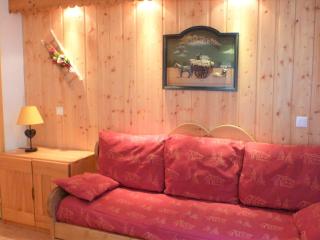 Studio pieds des pistes, proche quartier Bruyères, skis et animaux admis - FR-1-574-18 - 0