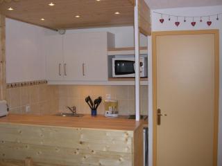 Studio pieds des pistes, proche quartier Bruyères, skis et animaux admis - FR-1-574-18 - 5