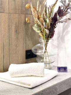 ApartCentrum-CHARLOTTE -PARKING-Air conditioning - 6