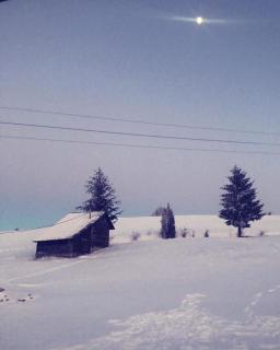 Kepin Konak - Bajina Bašta - 5