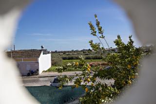 Tabira Apartment - Tavira - 1