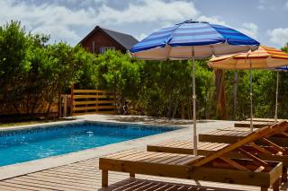 Aves del Paraiso 1 - 7