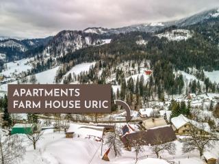 Apartments Farm House Uric - 8