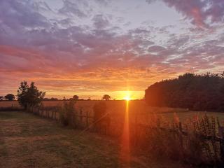 Elm Barn View - Freethorpe - 4