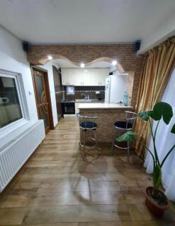Cabana Busteni - Buşteni - 4