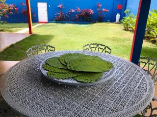 Casa Colorida - Pipa - 2