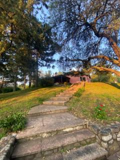 Chalet los pinos - 8