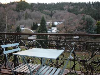 Magnifique T2 avec Wifi en centre, 1 chambre, 3 étoiles - FR-1-608-85 - Mont-Dore - 9