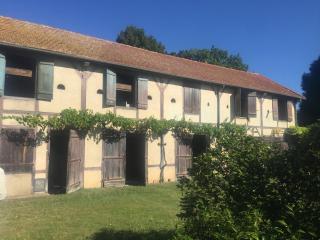 Bel appartement et jardin chez Maison Devaux - Rion-des-Landes - 3