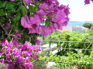 Villa Jadranka - Hvar - 2