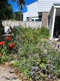 Cosy coastal home - 5 mins walk from the beach - 3