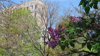 Hotel Lifort Sapporo - Sapporo - 5