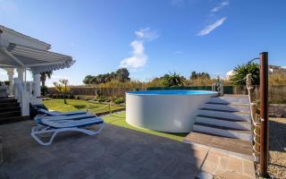 Villa Oasis Rural frente al mar ALBERT VILLAS - Alcossebre - 0
