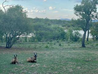 Lodge on Watering Hole , Zebula - Mabula - 7