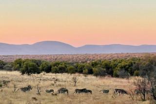 Lodge on Watering Hole , Zebula - 6